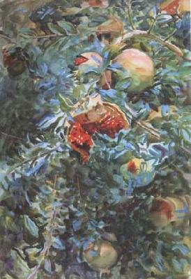 John Singer Sargent Pomegranates (mk18) oil painting image